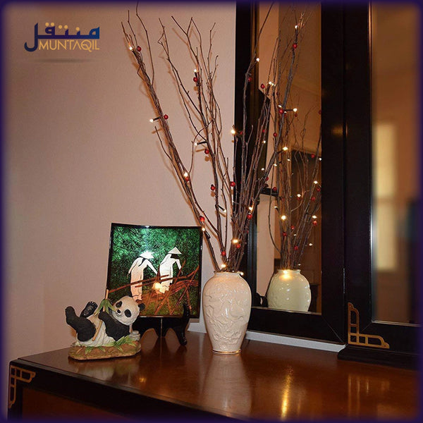Led Strings Of Decorative Lights Illuminate